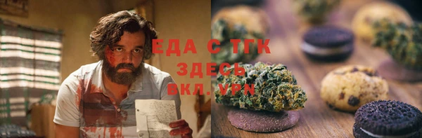 эйфоретик Алзамай