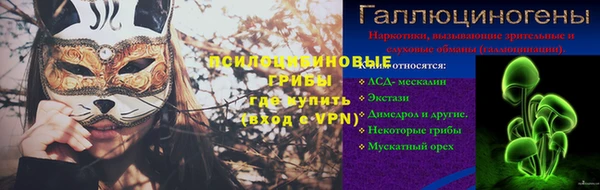 стаф Алексин